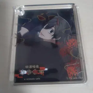 도겐안키 코롯타 요도가와 마스미 아니카페