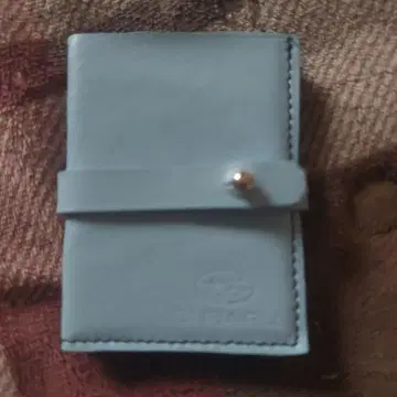 라이트 블루 가죽 사진첩?