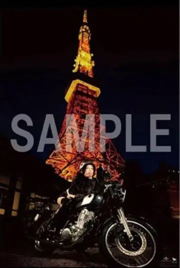 시이나 링고 나는 고양이의 눈 타워 레코드 신주쿠점 한정판 포스터 B2