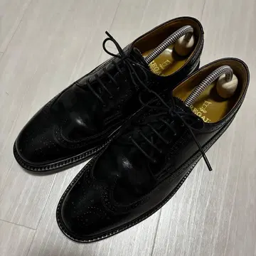 REGAL 2589 26.5 윙팁