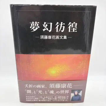 몽환방황 스도 야스카 화문집 2011년 초판 도쿄도서출판 레어 절판 도서