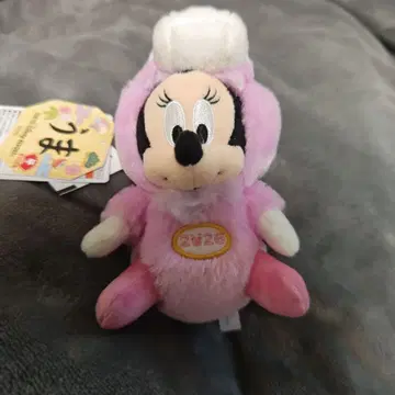 간지 미니짱 2026