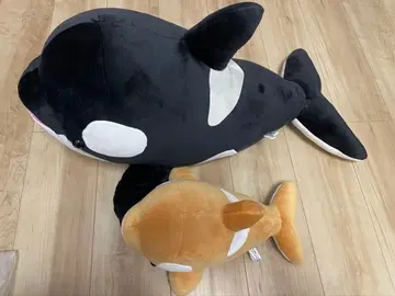 스마 씨 월드 범고래 복권