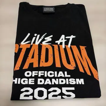 officialdism STADIUM 히게단 L사이즈 T셔츠