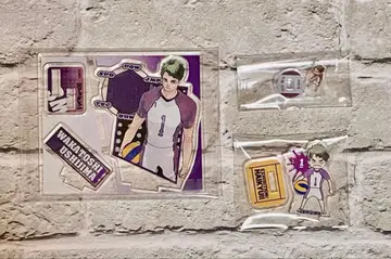 하이큐 아크릴 피규어 / mini / mini mini (우시지마)