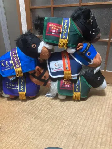 서러브레드 컬렉션 말 의류 코스튬 5체 세트