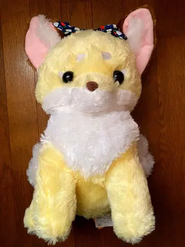 [ 새상품 ] 쵸콘토 큐비사마 하나오마치 호박색 쵸콘토 여우 봉제 인형