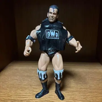 nWo 프로레슬링 피규어 스캇 홀