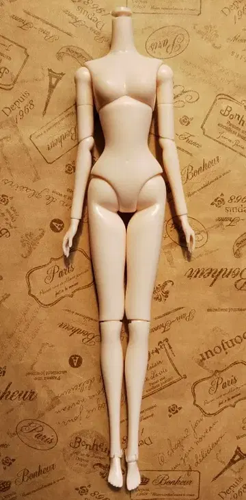 배송비 포함*그루브*풀립*베리타스*바디