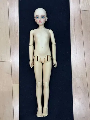 커스텀 인형 해외 인형 SD