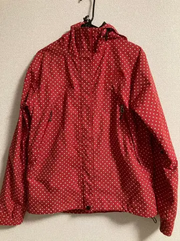 THE NORTH FACE 마운틴 후드티