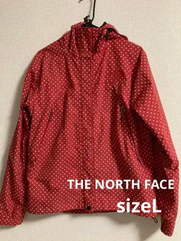 THE NORTH FACE 마운틴 후드티