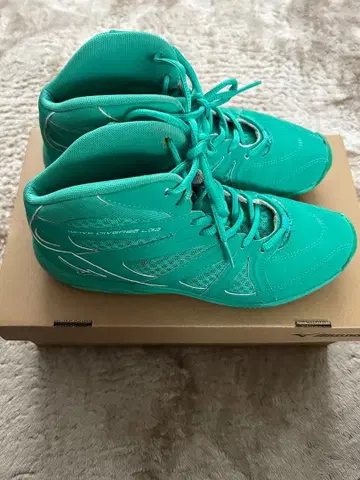 미즈노 웨이브 다이버스