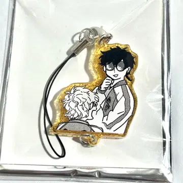 15 WIND BREAKER 체인 컬렉션 토가메 우사기야마 초지