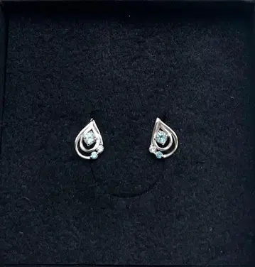 스타 주얼리 귀걸이