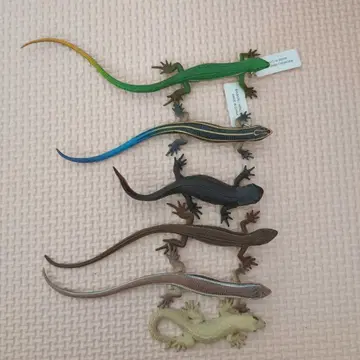 파충류 키링 마그넷