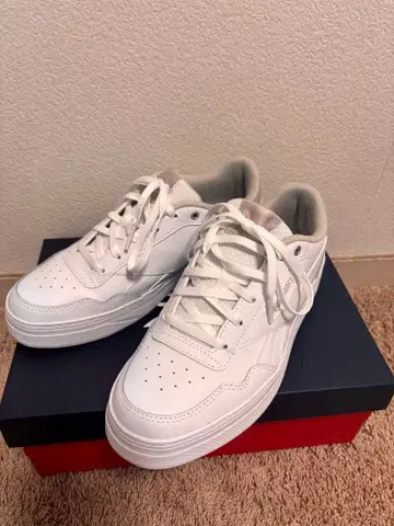 코트 어드밴스 볼드