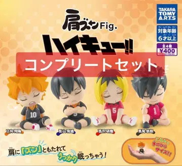 어깨 쿵 하이큐!! 컴프