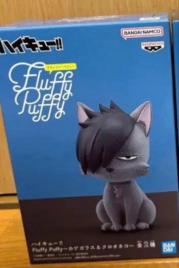 [ 미개봉 새상품 ] 하이큐 Fluffy Puffy 쿠로오 네코 피규어
