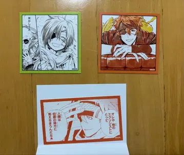 페타코레 라비 세트