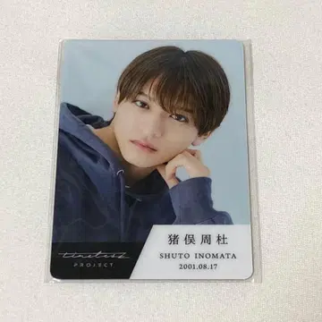 타입로 이노마타 슈토 트레이딩 카드