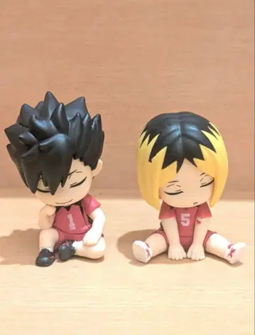 어깨 쿵 하이큐!! 네코마