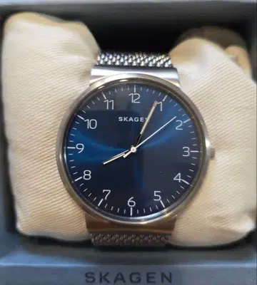 SKAGEN 손목시계 SKW6164