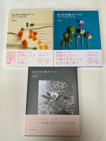 처음 시작하는 점토 아트 3권 세트