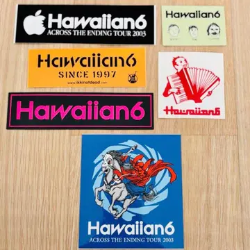 HAWAIIAN6 스티커 밴딩 스티커 하와이안6