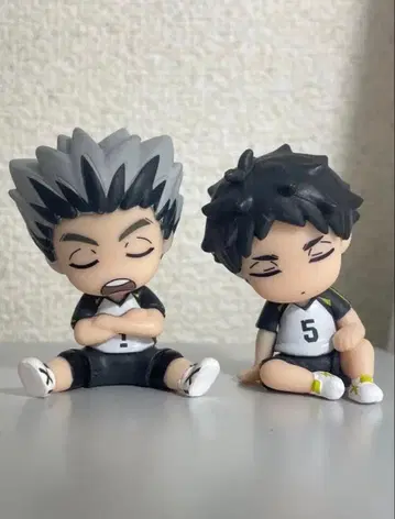 어깨 쿵 하이큐!! 후쿠로다니