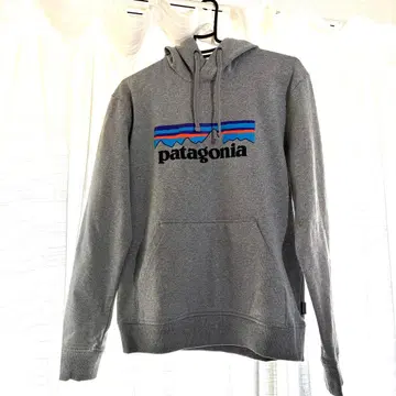 patagonia 그레이 후드 부착 후드티