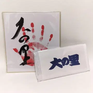 다이노사토 응원 타월 사인 포함 색지 세트