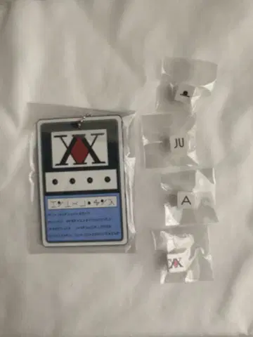 HUNTER x HUNTER / 헌터 라이선스 네임 키링 / 키루아