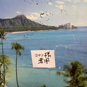 하와이안 퀼트 파우치