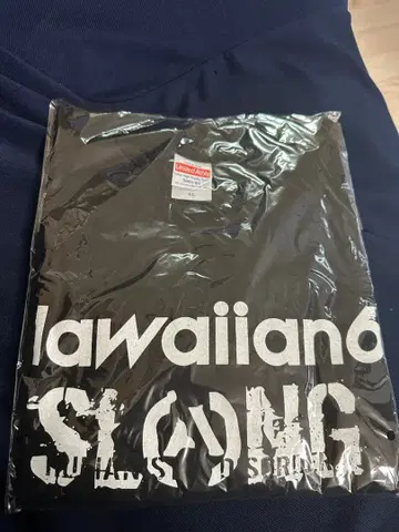 hawaiian6 SLANG 콜라보T셔츠 XL