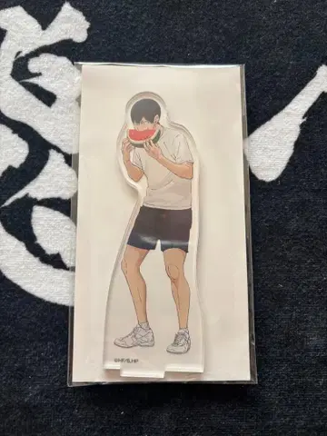 세븐인터넷 한정판 하이큐 아크릴 스탠드 카게야마 토비오