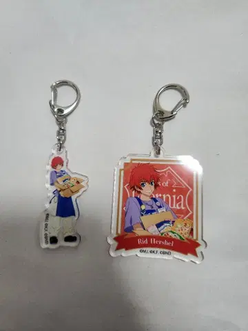 테일즈 리드 아크릴 키링