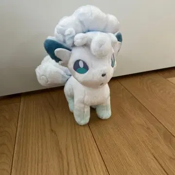 포켓몬 시론 로콘 봉제 인형