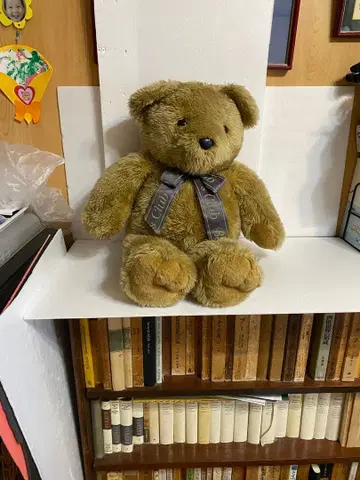 테디베어 BIG 봉제 인형