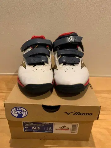 미즈노 트레이닝 슈즈 24.5cm