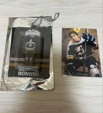 SEVENTEEN's HOME 원우