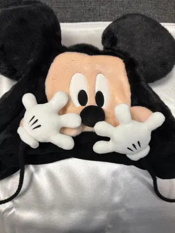 Disney 디즈니 미키 팬캡