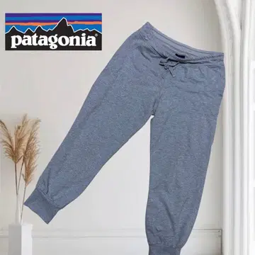 patagonia 그레이 조거 팬츠 맨투맨 파타고니아