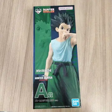 HUNTER x HUNTER 곤 MASTERLISE A상