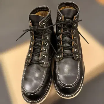 레드윙 단종 레어 9874 5 1/2E (23.5cm) 차심