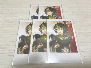 니지산지 이나미 라이 폴라로이드