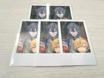 니지산지 코야나기 로우 폴라로이드