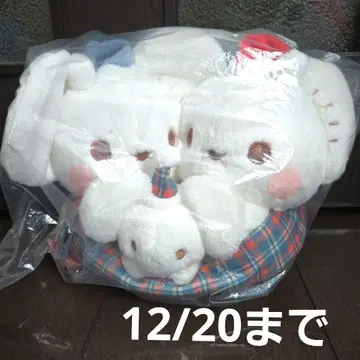 포켓몬 하트워밍 크리스마스 이카네즈미