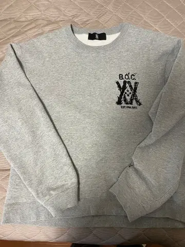 BUMP OF CHICKEN 20주년 맨투맨 그레이 XL