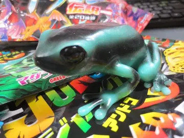 쭉쭉 늘어나는 정글!&Co. 안도코 점박이독개구리 개구리 개구리